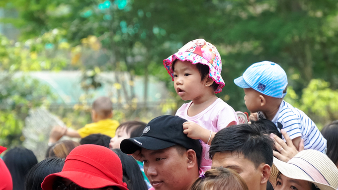 Vườn hoa trong sở thú Sài Gòn bị giẫm nát ngày đầu năm mới